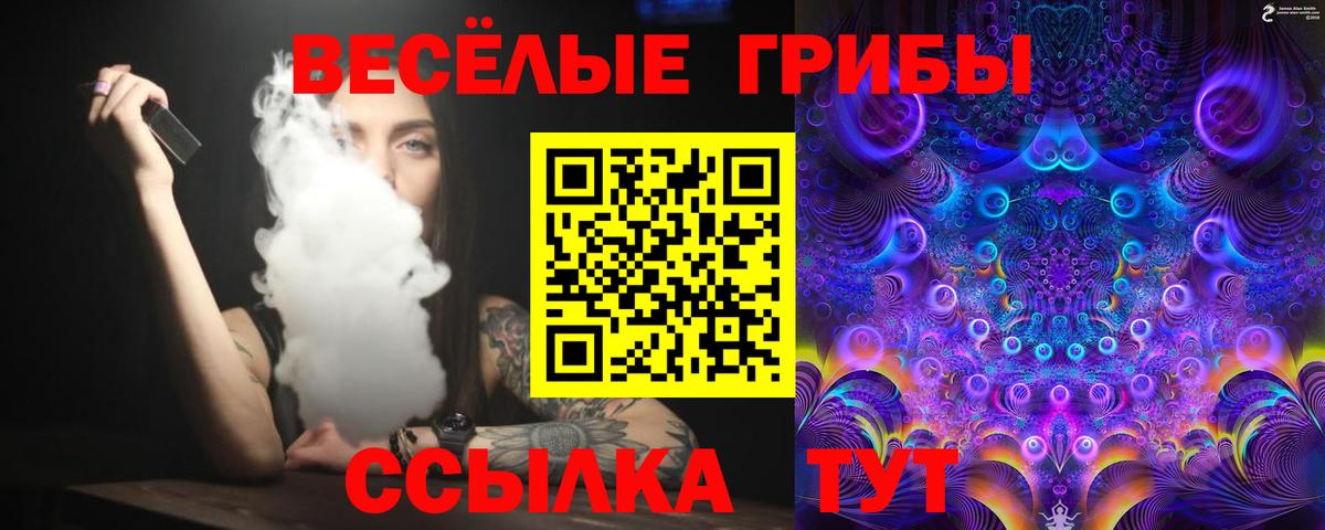 Галлюциногенные грибы MAGIC MUSHROOMS Новочебоксарск