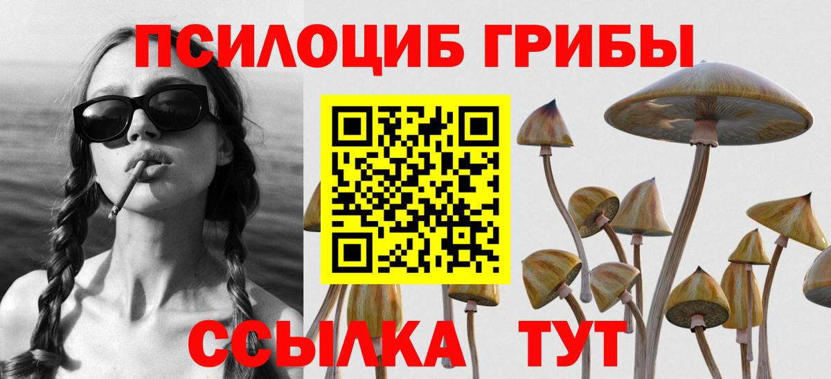Псилоцибиновые грибы GOLDEN TEACHER  Галлюциногенные грибы ЛСД  Новочебоксарск  Вход с VPN 